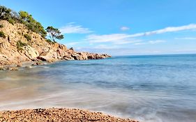 ⭑ Sea Views + Private Beach. What Else? ⭑